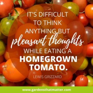 It's-difficult-to-think-anything-but-pleasant-thoughts-while-eating-a-homegrown-tomato-Lewis-Grizzard