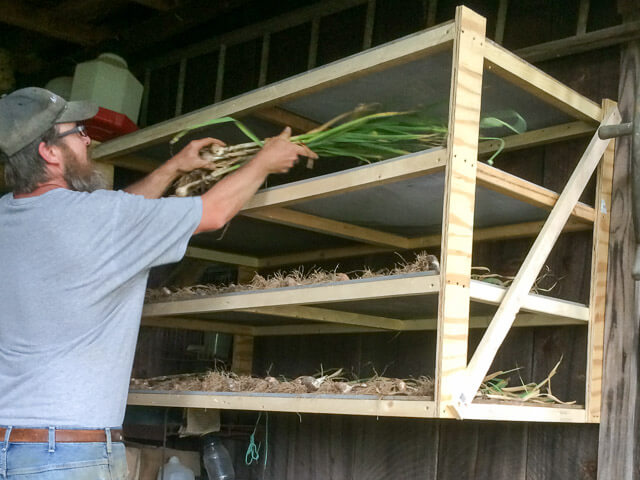 Colby built a 4-tiered drying rack for our garlic and onions a few years ago.
