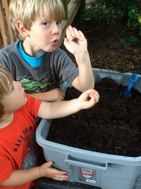 How To Make a Simple Worm Bin – Gardens That Matter