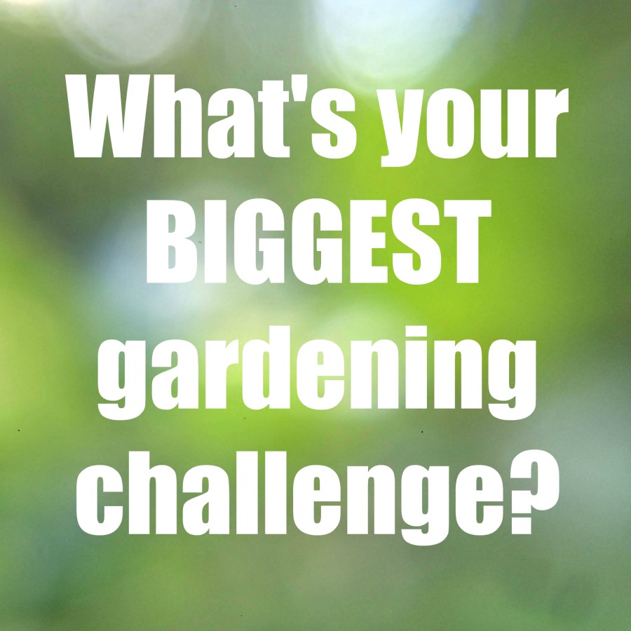 What's your biggest gardening challenge?