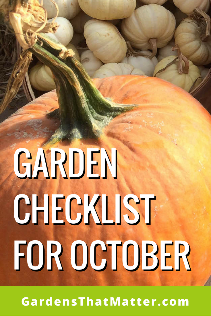 Checklist: Things To Do In The Garden In October - Gardens That Matter