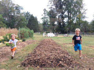 Sheet Mulching Tutorial - Boys running up new garden bed