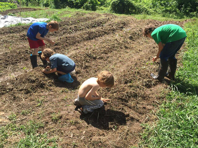 Life and Learning in the Garden: An Interview with Homeschooling ...