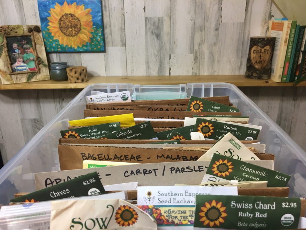 DIY Summer Garden Seed Packet Organizer Tutorial