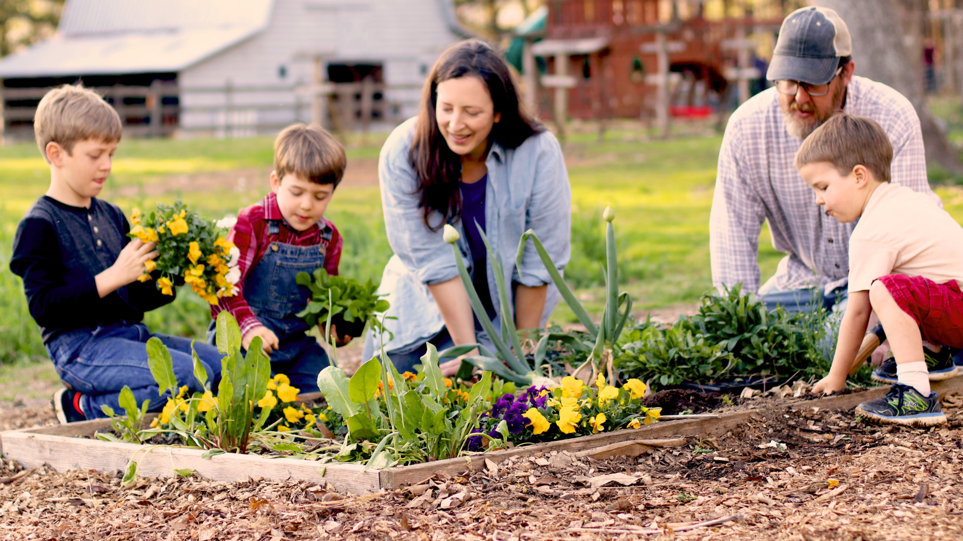 Start Your First Garden