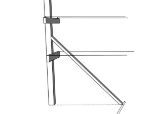 Bracing Raspberry How to Build a T-Trellis for Raspberries and Blackberries (Step-by-Step ...